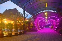 taman perwacy luxury and comfort